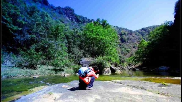 ClimbingTreesandMentalResilienceNurturingGritthroughOutdoorChallenges