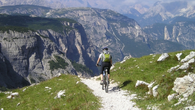 ClimbingTreesandNatureTherapyReconnectingwiththeEarthforWell-being